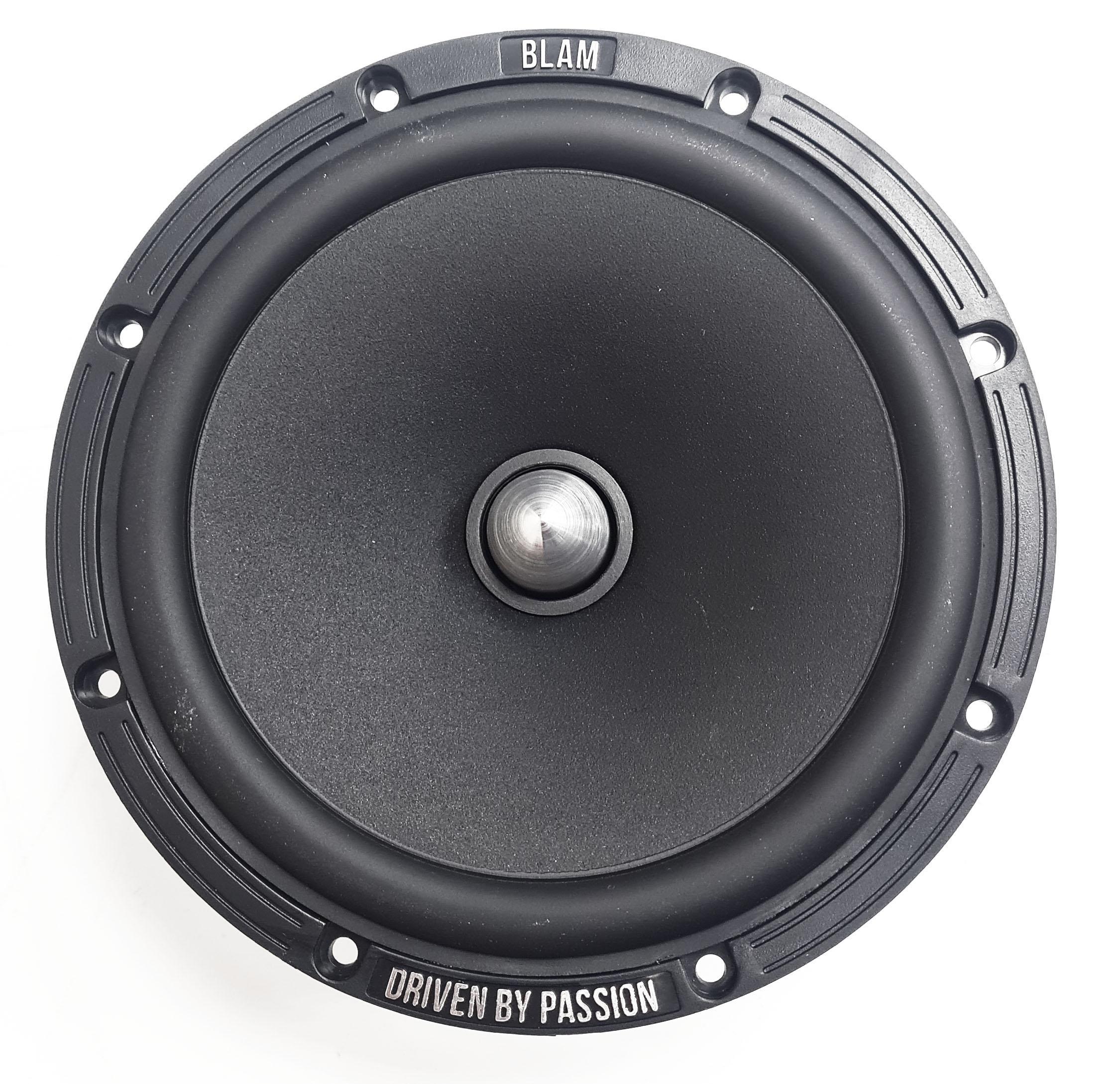 BLAM W165R2