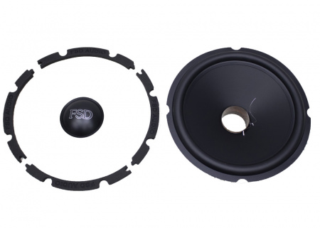 FSD AUDIO MASTER WF8 REM