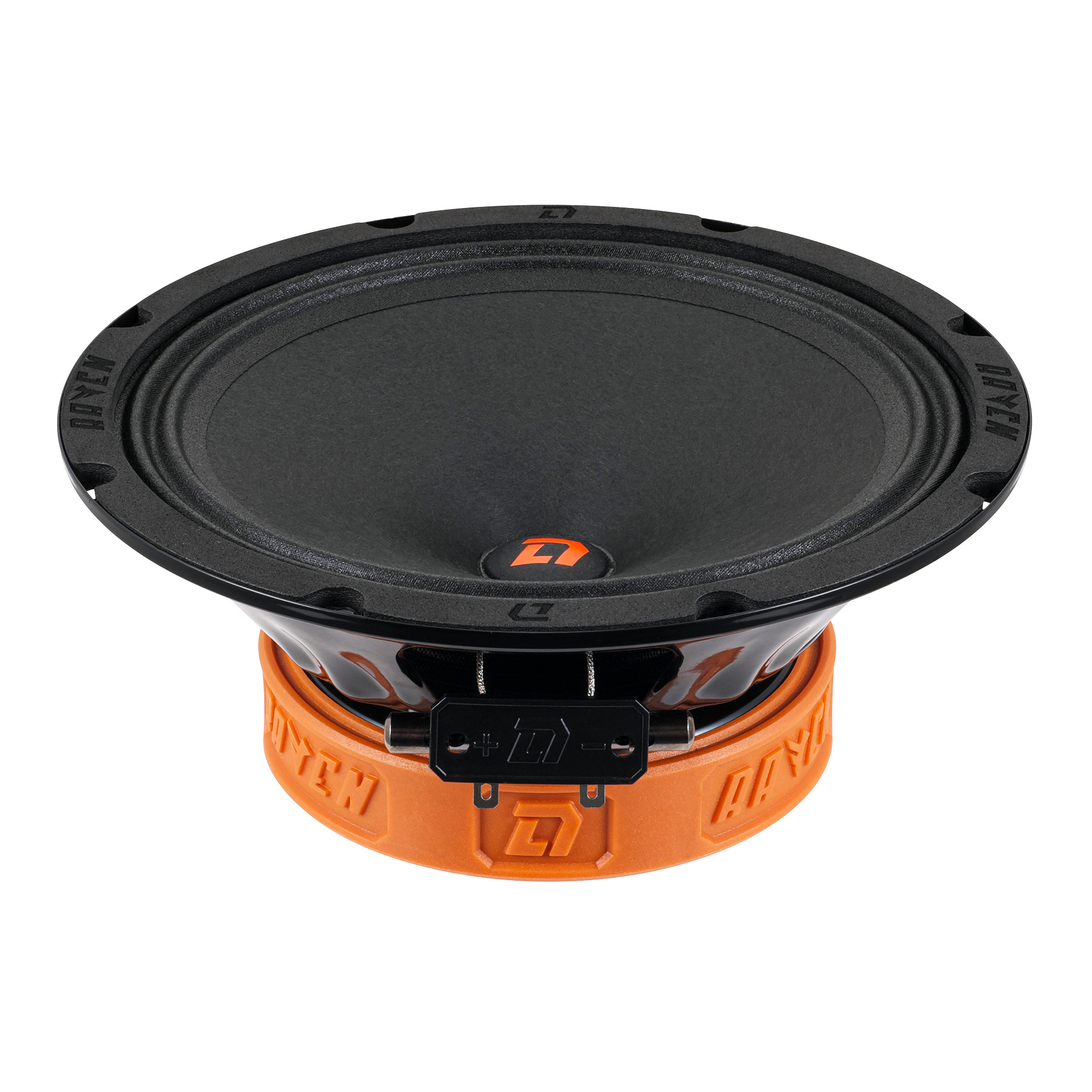DL Audio Raven 200